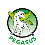 ペガサス